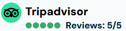 TripAdvisor reviews