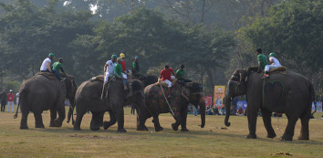 Chitwan National Park: Wildlife Safari in Nepal’s Jungle Paradise