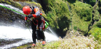 Special Interest Programs