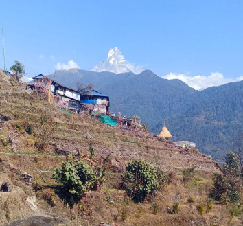 Nepal Monsoon Trekking Adventures: What You Need to Know