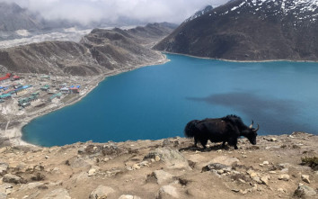 Group Joining Gokyo Valley Trek in November 2024