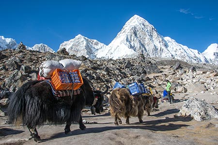 Difficulty of Mount Everest Base Camp Trek: What You Need to Know