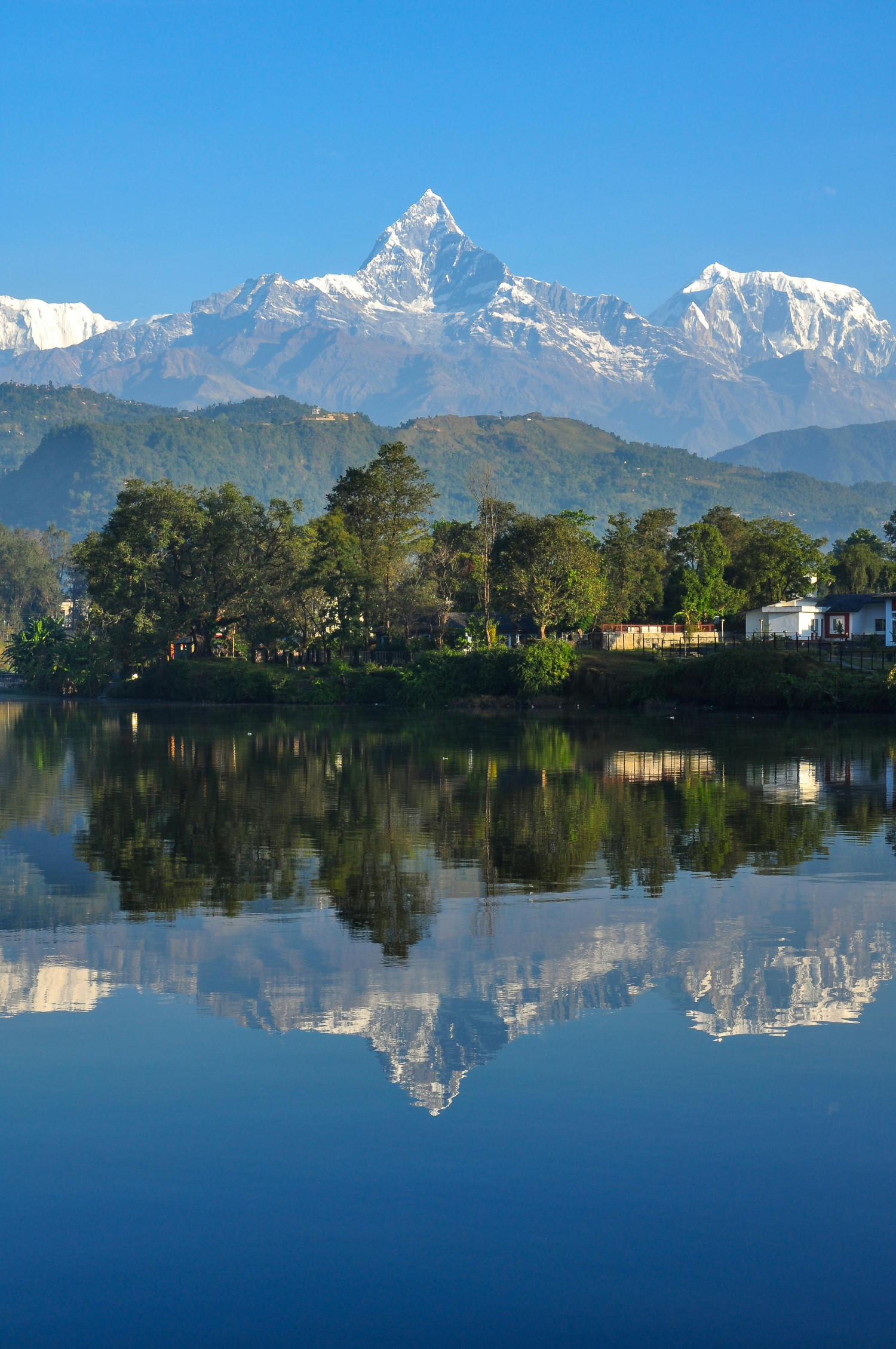 Top 10 Most Popular Festivals in Nepal: A Cultural Journey Through the Heart of the Himalayas