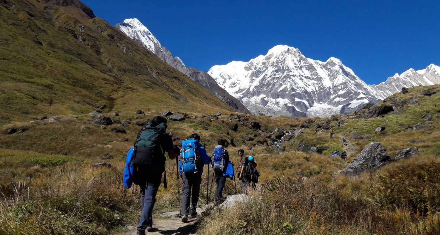 Annapurna Trekking Guide Hire